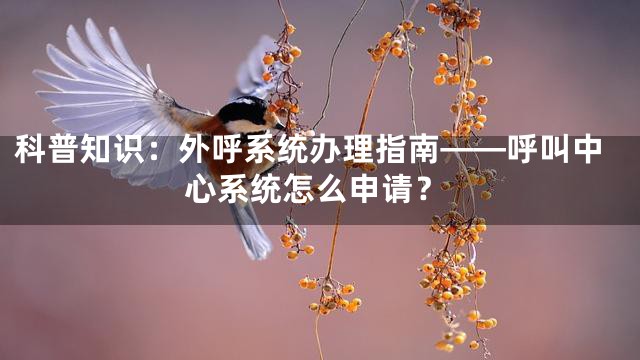 科普知识：外呼系统办理指南——呼叫中心系统怎么申请？