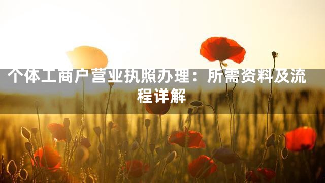 个体工商户营业执照办理：所需资料及流程详解