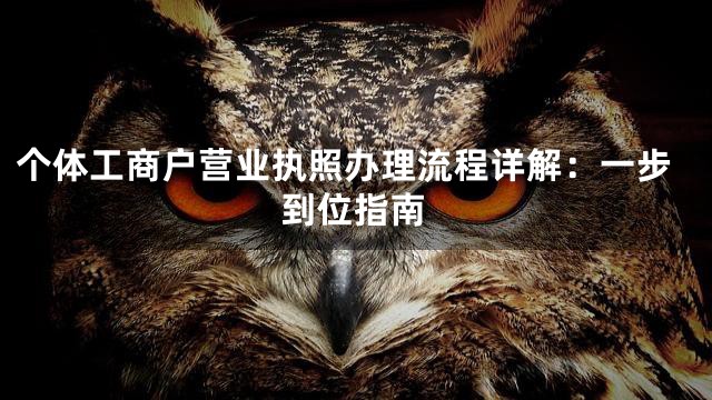 个体工商户营业执照办理流程详解：一步到位指南