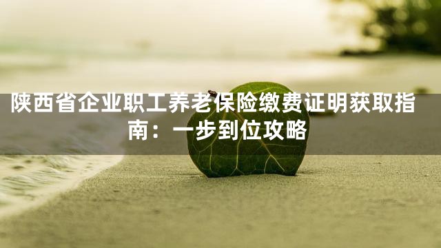 陕西省企业职工养老保险缴费证明获取指南：一步到位攻略