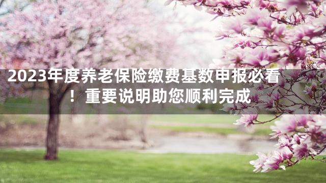 2023年度养老保险缴费基数申报必看！重要说明助您顺利完成