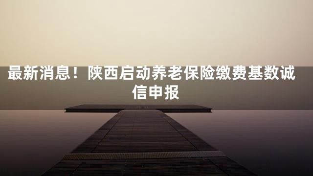 最新消息！陕西启动养老保险缴费基数诚信申报