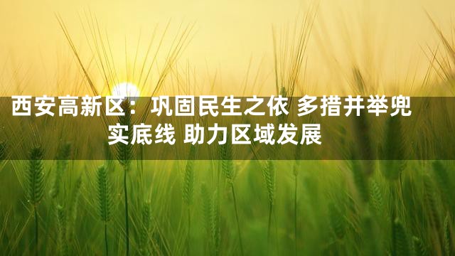 西安高新区：巩固民生之依 多措并举兜实底线 助力区域发展