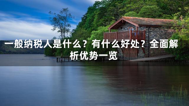 一般纳税人是什么？有什么好处？全面解析优势一览