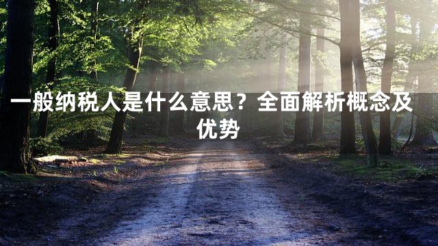 一般纳税人是什么意思？全面解析概念及优势