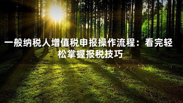 一般纳税人增值税申报操作流程：看完轻松掌握报税技巧