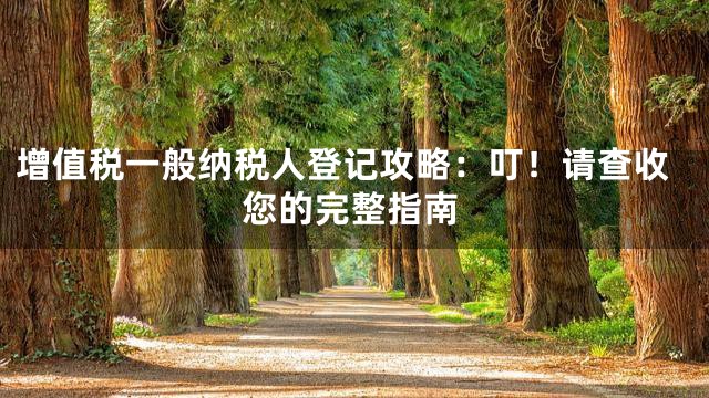 增值税一般纳税人登记攻略：叮！请查收您的完整指南