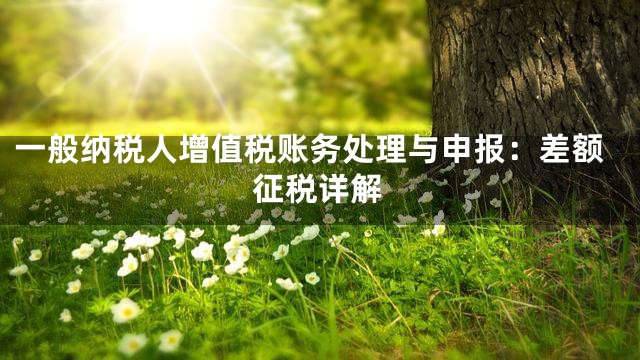 一般纳税人增值税账务处理与申报：差额征税详解