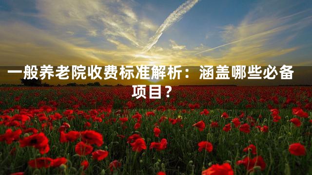 一般养老院收费标准解析：涵盖哪些必备项目？