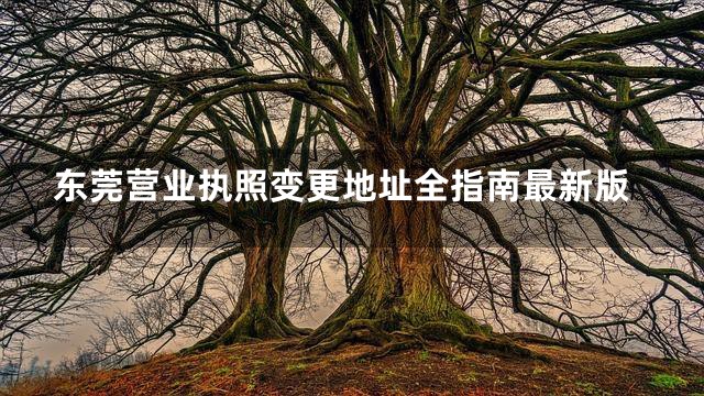 东莞营业执照变更地址全指南最新版