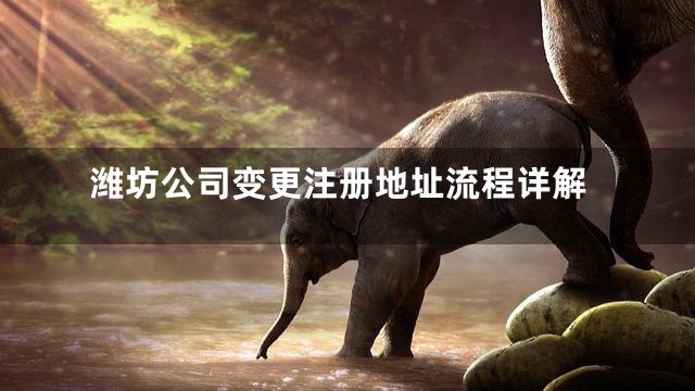 潍坊公司变更注册地址流程详解