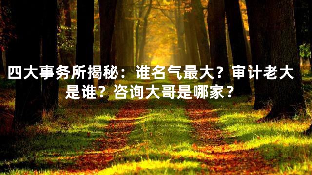 四大事务所揭秘：谁名气最大？审计老大是谁？咨询大哥是哪家？