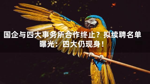 国企与四大事务所合作终止？拟续聘名单曝光：四大仍现身！