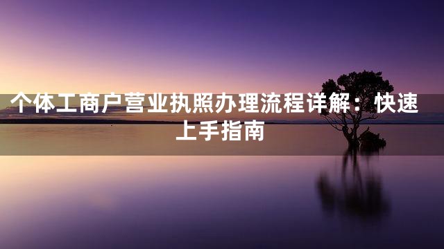 个体工商户营业执照办理流程详解：快速上手指南