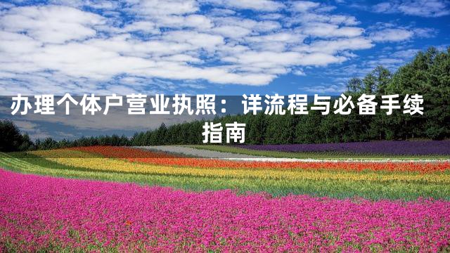 办理个体户营业执照：详流程与必备手续指南