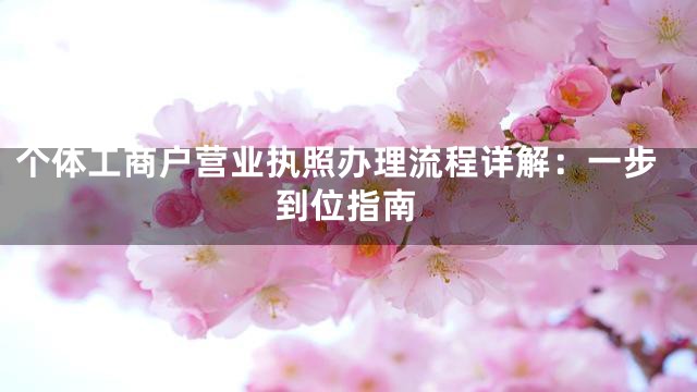 个体工商户营业执照办理流程详解：一步到位指南