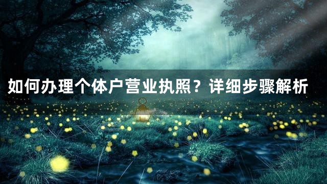 如何办理个体户营业执照？详细步骤解析
