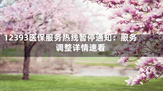 12393医保服务热线暂停通知：服务调整详情速看