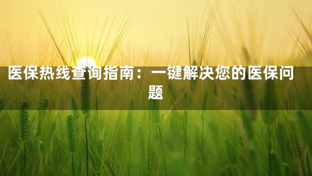 医保热线查询指南：一键解决您的医保问题
