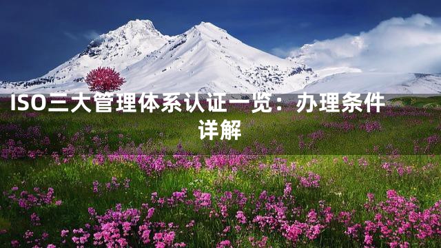 ISO三大管理体系认证一览：办理条件详解
