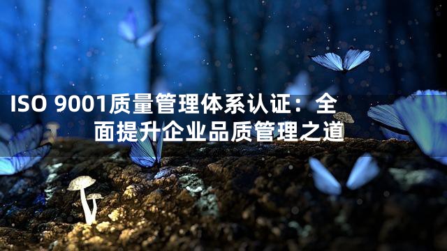 ISO 9001质量管理体系认证：全面提升企业品质管理之道