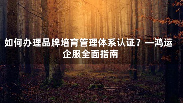 如何办理品牌培育管理体系认证？—鸿运企服全面指南