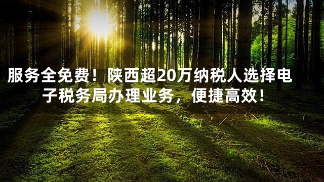 服务全免费！陕西超20万纳税人选择电子税务局办理业务，便捷高效！