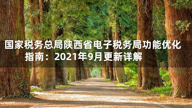 国家税务总局陕西省电子税务局功能优化指南：2021年9月更新详解