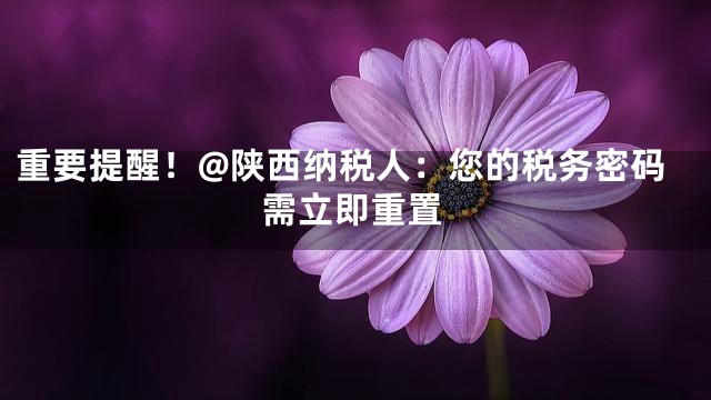 重要提醒！@陕西纳税人：您的税务密码需立即重置