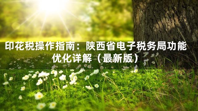 印花税操作指南：陕西省电子税务局功能优化详解（最新版）