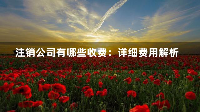 注销公司有哪些收费：详细费用解析