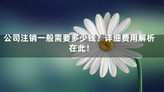 公司注销一般需要多少钱？详细费用解析在此！