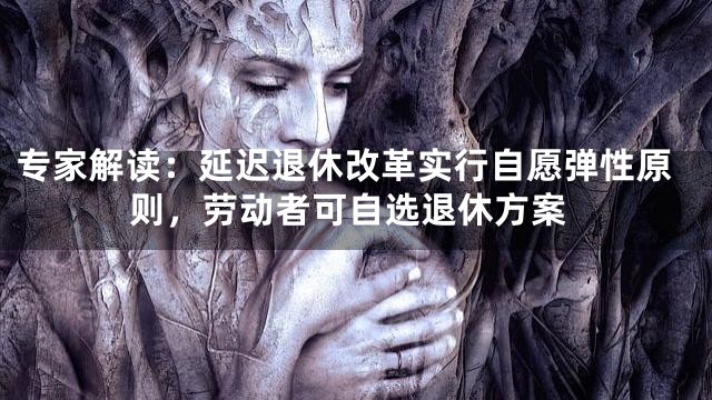 专家解读：延迟退休改革实行自愿弹性原则，劳动者可自选退休方案