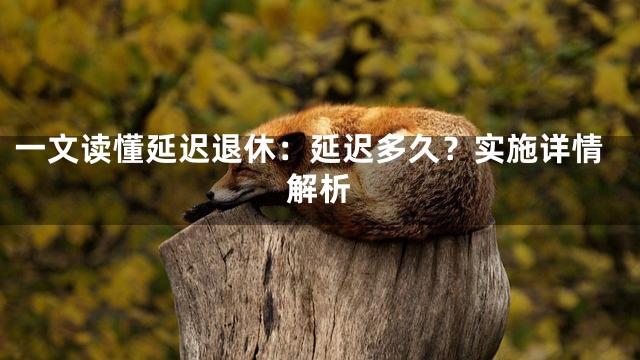 一文读懂延迟退休：延迟多久？实施详情解析