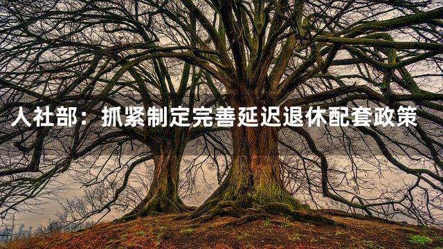 人社部：抓紧制定完善延迟退休配套政策