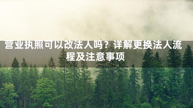 营业执照可以改法人吗？详解更换法人流程及注意事项