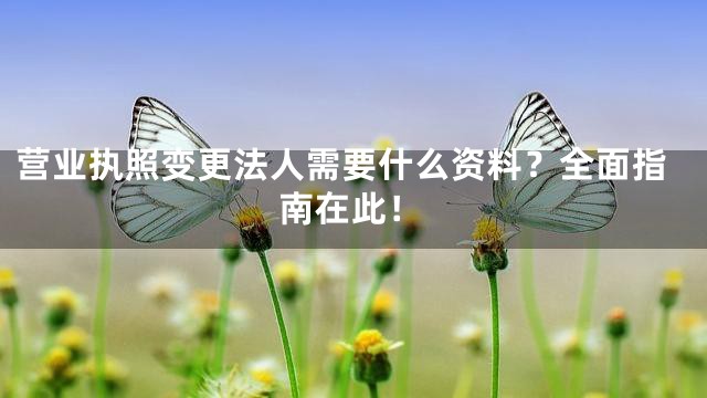 营业执照变更法人需要什么资料？全面指南在此！