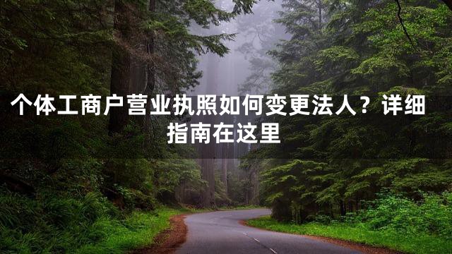 个体工商户营业执照如何变更法人？详细指南在这里