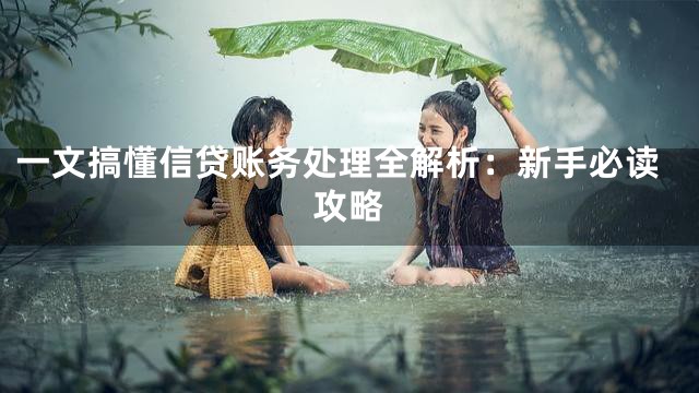 一文搞懂信贷账务处理全解析：新手必读攻略