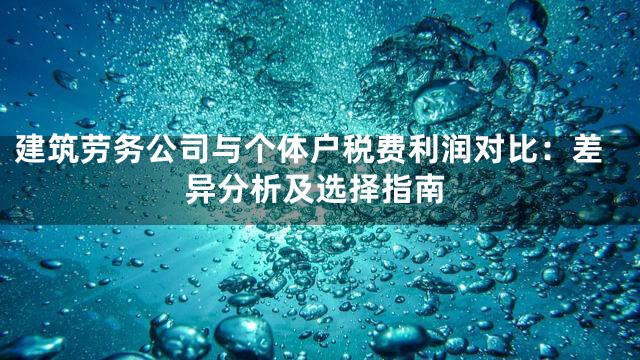 建筑劳务公司与个体户税费利润对比：差异分析及选择指南