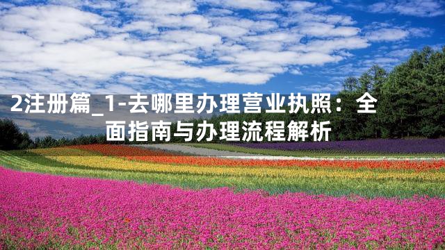 2注册篇_1-去哪里办理营业执照：全面指南与办理流程解析