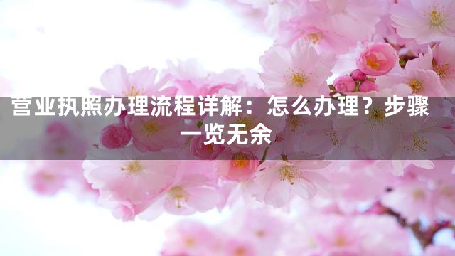 营业执照办理流程详解：怎么办理？步骤一览无余