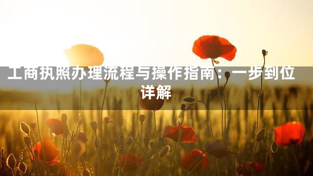 工商执照办理流程与操作指南：一步到位详解