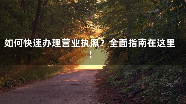 如何快速办理营业执照？全面指南在这里！