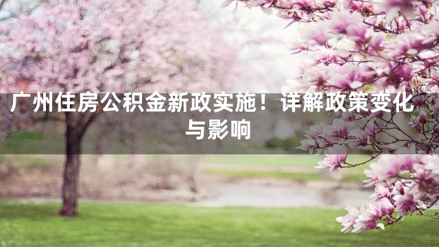 广州住房公积金新政实施！详解政策变化与影响