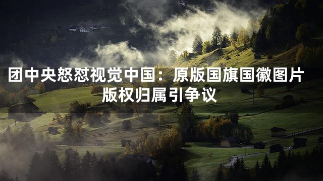 团中央怒怼视觉中国：原版国旗国徽图片版权归属引争议