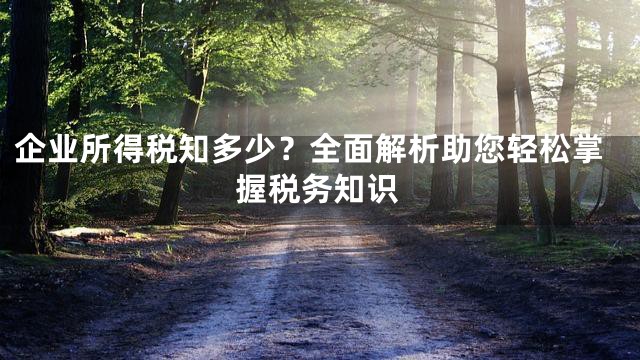 企业所得税知多少？全面解析助您轻松掌握税务知识