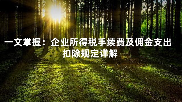 一文掌握：企业所得税手续费及佣金支出扣除规定详解