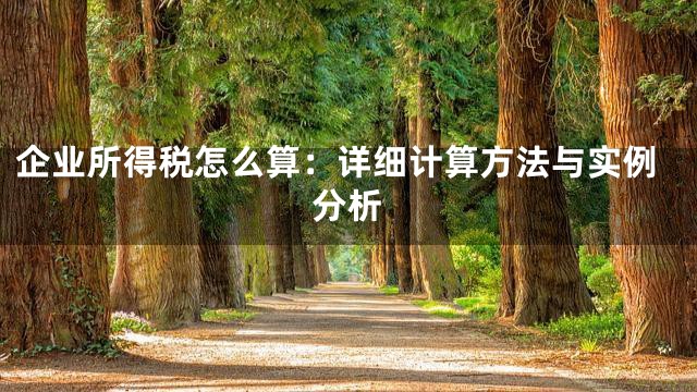 企业所得税怎么算：详细计算方法与实例分析