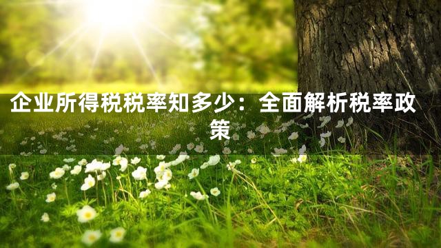 企业所得税税率知多少：全面解析税率政策